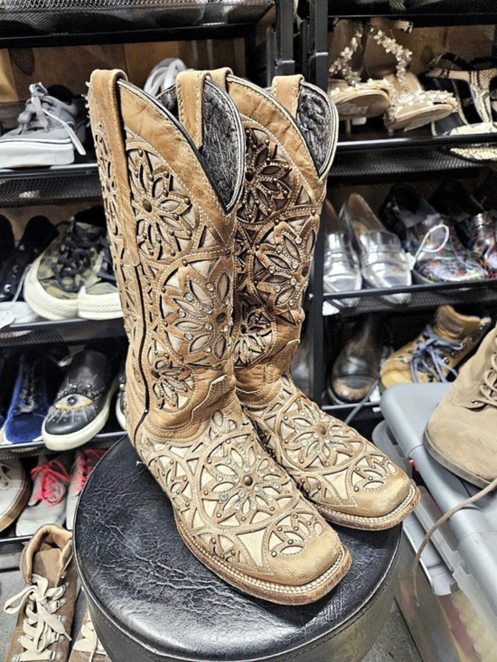 Texas Country Embellished Western Heeled Boots in Brown